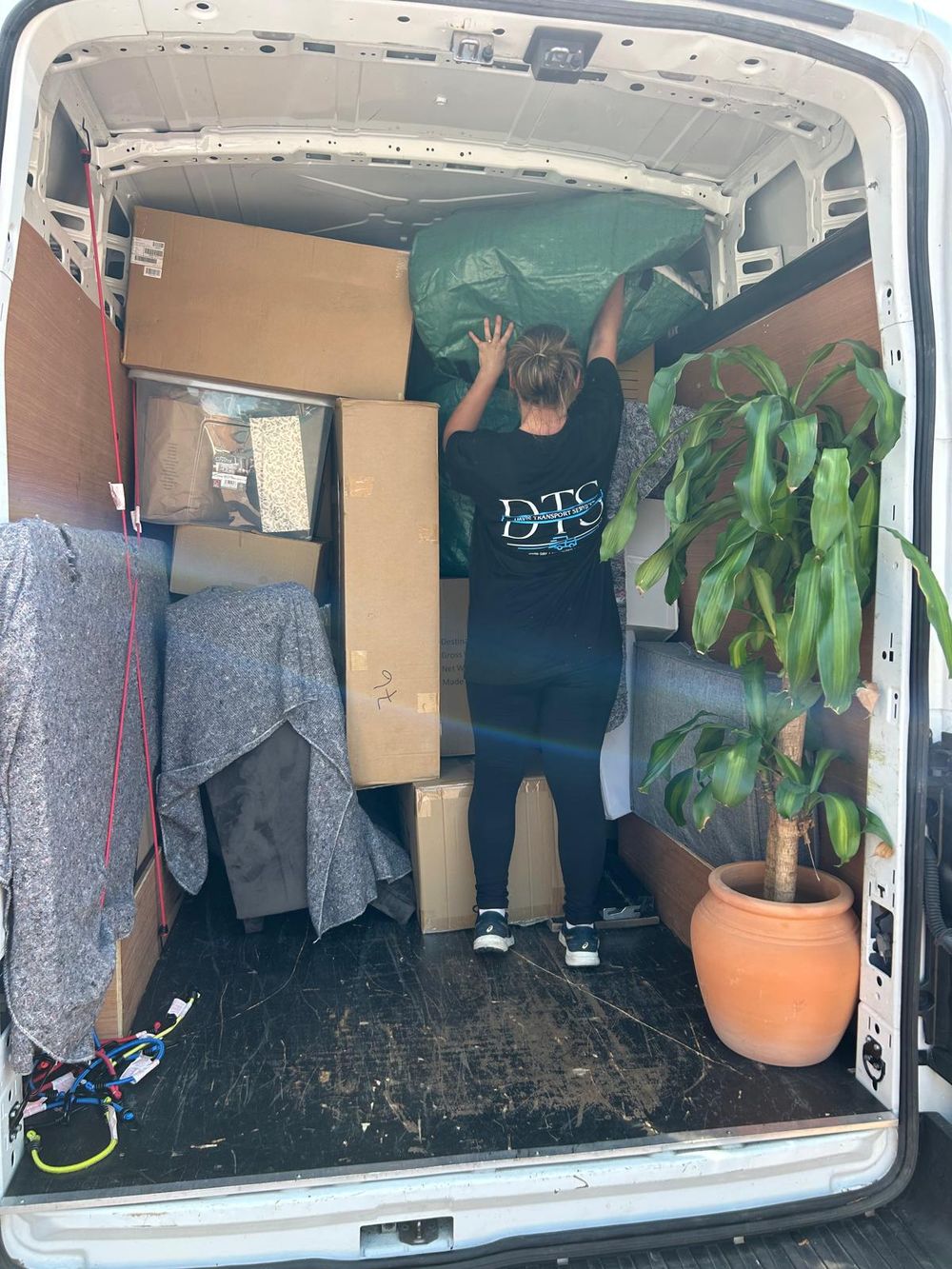 Davis Transport Services team member packing a house plant and belongings for a move